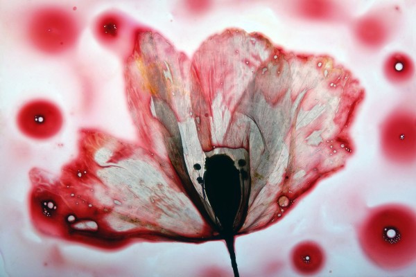 Diamalerei - Put On The Red Dress That You Like