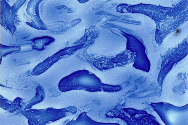 Diamalerei - Deep Blue Sea