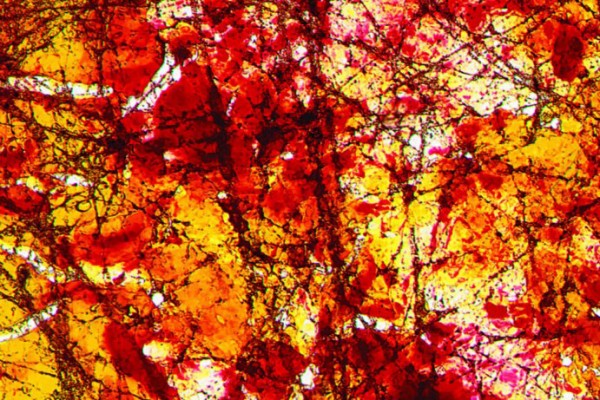 Diamalerei - Pollock