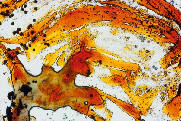 Diamalerei - Rudolph