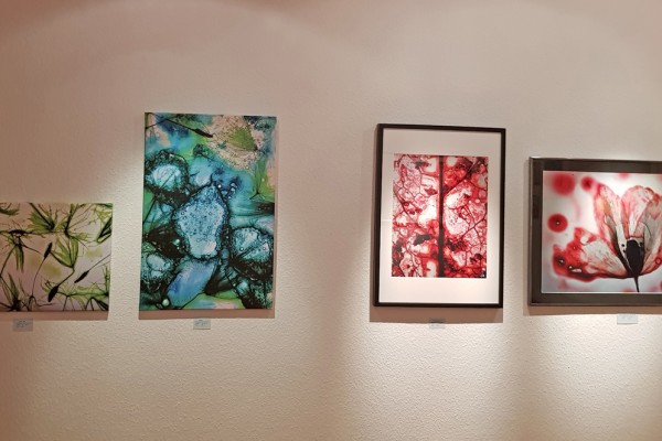 Diamalerei - Pflanzen-Serie