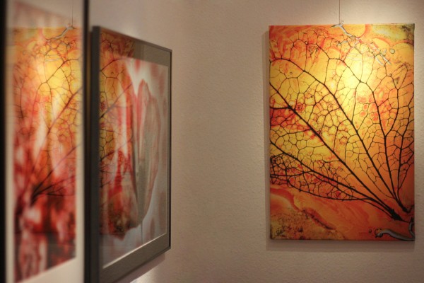 Diamalerei - Brandwüste