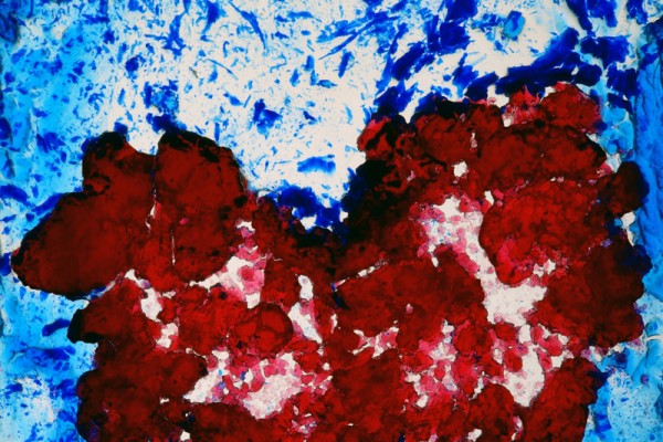 Diamalerei - Diving Heart