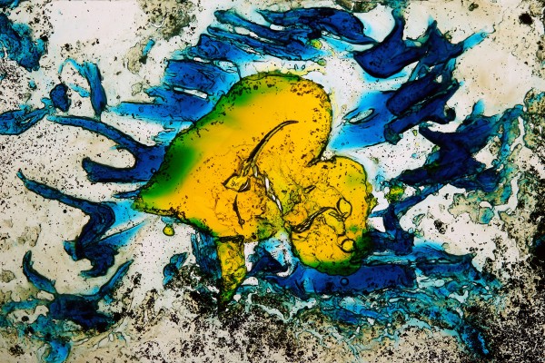 Diamalerei - Swimming Heart