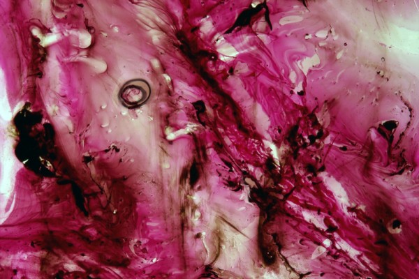 Diamalerei - Blowing Purple