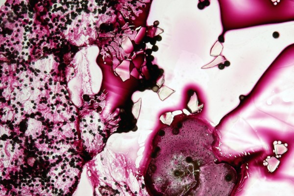 Diamalerei - Bright Purple Things