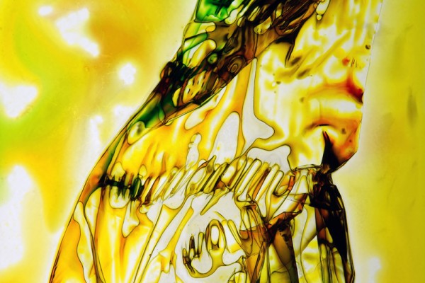 Diamalerei - Mythical Creature